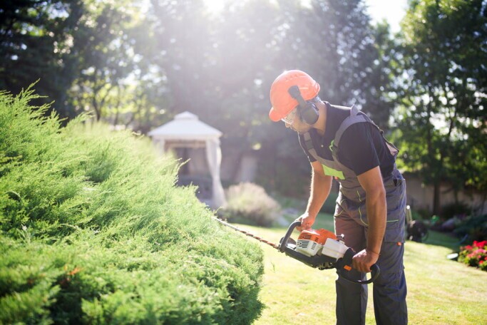 Betriebsleitung Garten und Landschaftspflege (m/w/d), 1. Bild